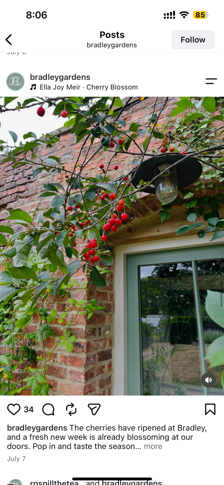 Garden & Nursery